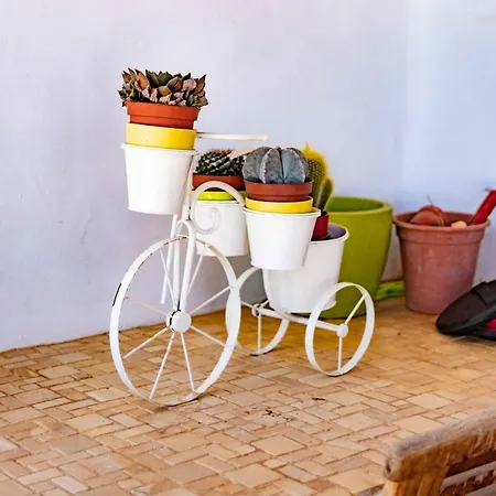 Casa Mira Villa *